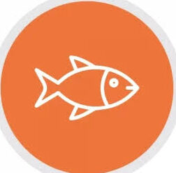 Wisconsin Fishing License Guide